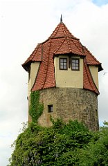 IMG 4796